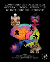  Comprehensive Overview of Modern Surgical Approaches to Intrinsic Brain Tumors