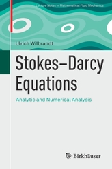  Stokes-Darcy Equations