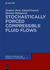  STOCHASTICALLY FORCED COMPRESSIBLE FLUID