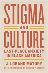  Stigma and Culture