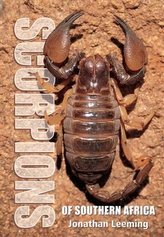  Scorpions of South Africa