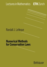  Numerical Methods for Conservation Laws