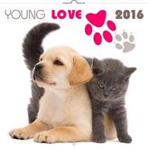 Kalendář nástěnný 2016 - Young Love - koťata & štěňata, poznámkový  30 x 30 cm
