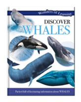  Wonders of Learning Discover Whales