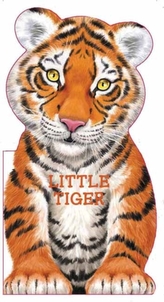  Little Tiger