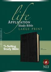  Life Application Study Bible