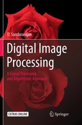  Digital Image Processing