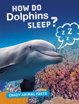  How Do Dolphins Sleep?