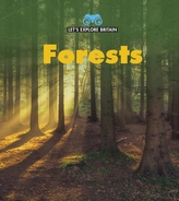  Forests