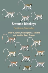  Savanna Monkeys