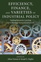 Efficiency, Finance, and Varieties of Industrial Policy