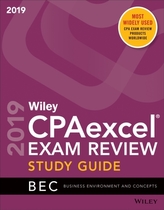  Wiley CPAexcel Exam Review 2019 Study Guide