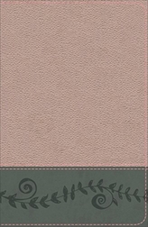  KJV Study Bible for Girls Pink Pearl/Gray, Vine Design LeatherTouch