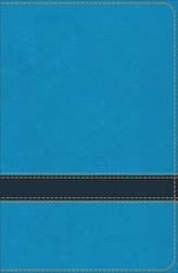  KJV Study Bible for Boys Ocean/Navy LeatherTouch