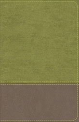  KJV Study Bible for Boys Olive/Brown LeatherTouch