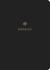  ESV Scripture Journal: Ezekiel
