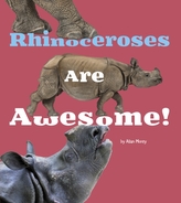  Rhinoceroses Are Awesome!