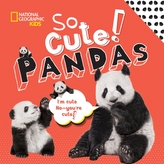  So Cool! Pandas