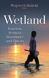  Wetland