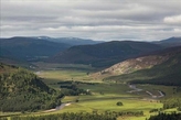  Alec Finlay - Gathering. A Place Aware Guide To The Cairngorms