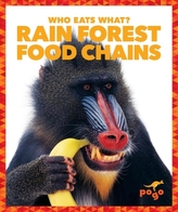  Rain Forest Food Chains