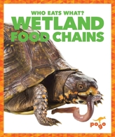  Wetlands Food Chains