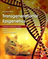  Transgenerational Epigenetics