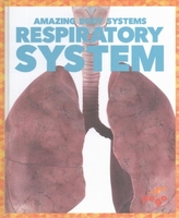  Respiratory System