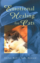  Emotional Healing For Cats