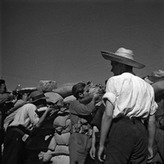  Gerda Taro