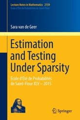  Estimation and Testing Under Sparsity