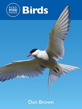  REED MINI GUIDE BIRDS