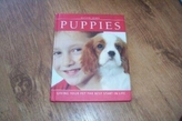  PUPPIES
