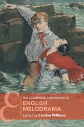  Cambridge Companions to Literature