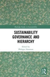  Sustainability Governance and Hierarchy