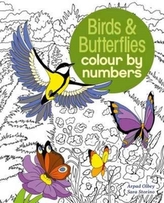  Birds & Butterflies Colour by Number