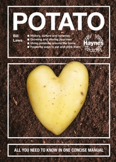  Potato