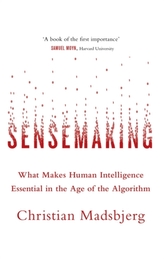  Sensemaking