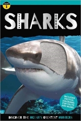  Go Wild Shark