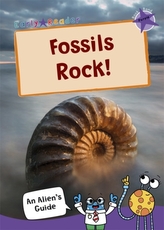  Fossils Rock!