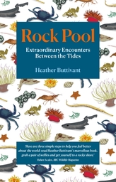  Rock Pool: Extraordinary Encounters Between the Tides