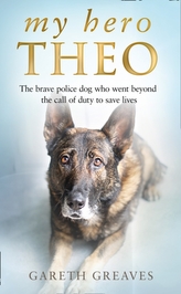  My Hero Theo