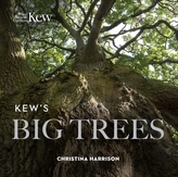  Kew\'s Big Trees