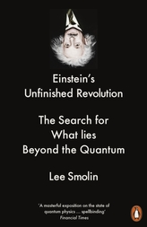  Einstein\'s Unfinished Revolution