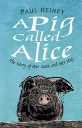 A Pig Called Alice