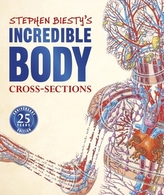  Stephen Biesty\'s Incredible Body Cross-Sections