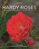  Hardy Roses