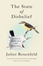 The State of Disbelief