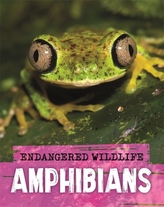  Endangered Wildlife: Rescuing Amphibians