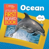  Ocean